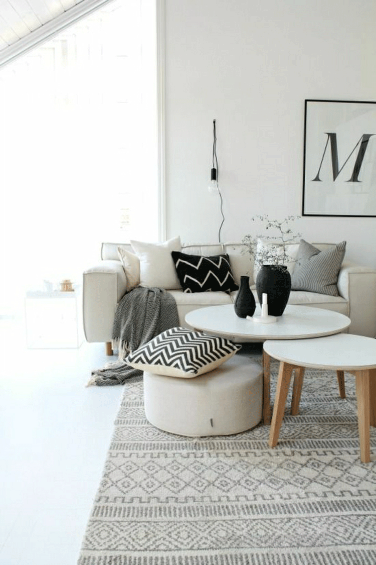 w2-deco-nordique-avec-meuble-suedois-et-tapis-scandinave-gris-beige-table-basse-de-salon