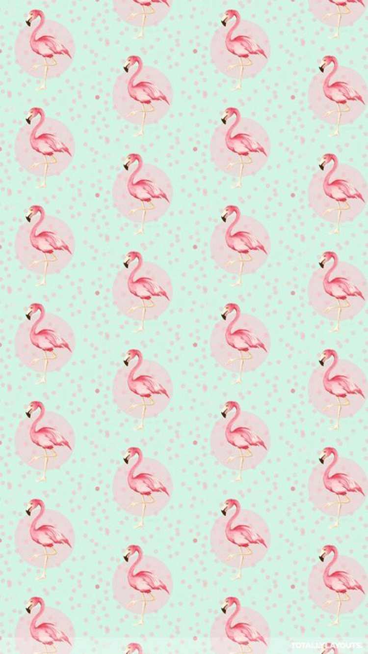 wflamingos